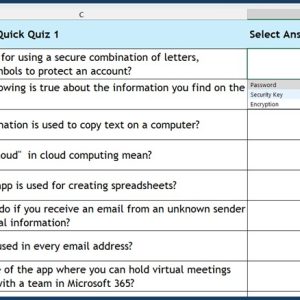 Excel-based digital literacy quiz for S1 and S2 pupils with 20 multiple-choice questions and conditional formatting feedback.